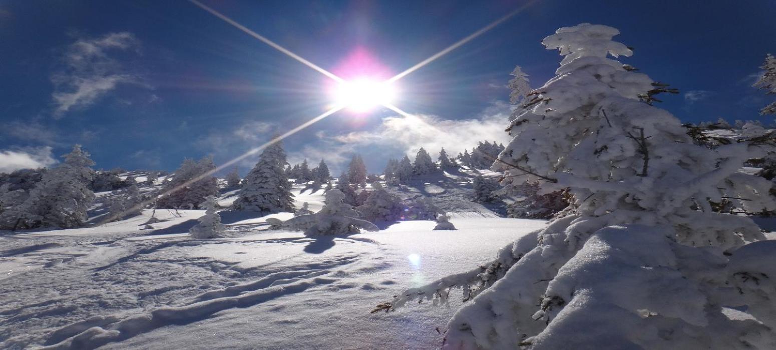 Ski-In, Ski-Out By Apartment Managers Kirchberg in Tirol Eksteriør bilde